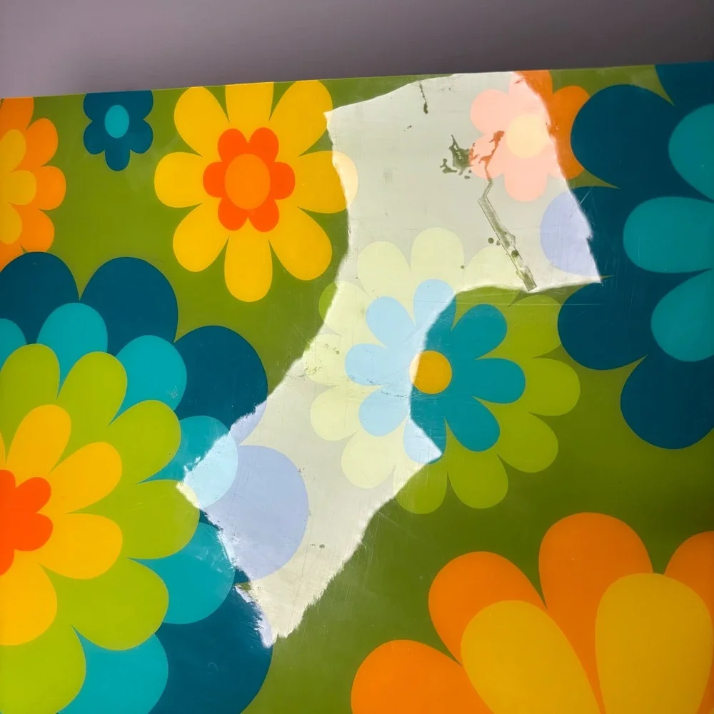 Retro Groovy Floral Daisy Placemats Set of 4 13x18 Green Blue Plastic  Flower